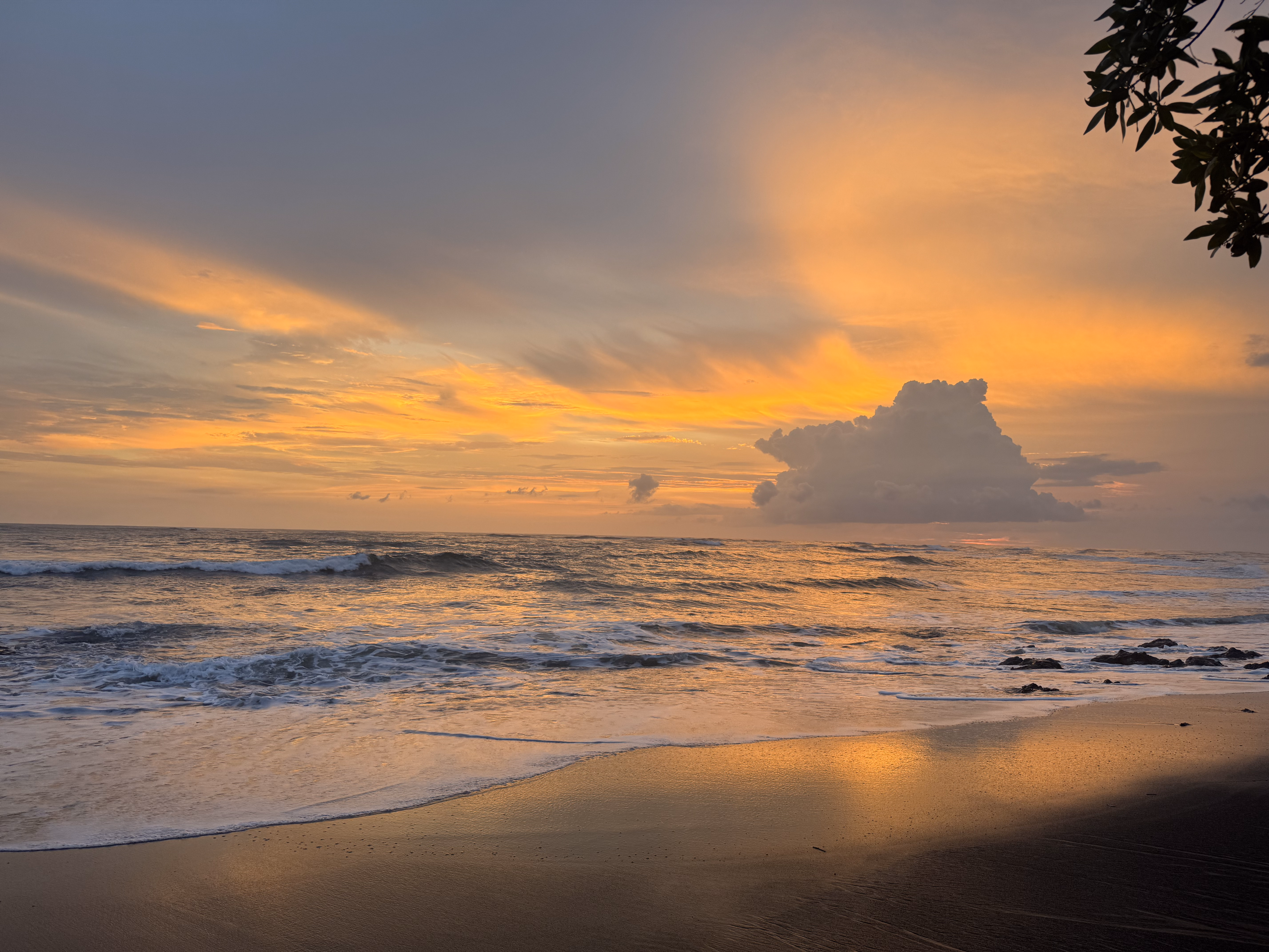 Tu grupo. Tu ritmo. Todo Bohemian para ustedes. - Imagen 5